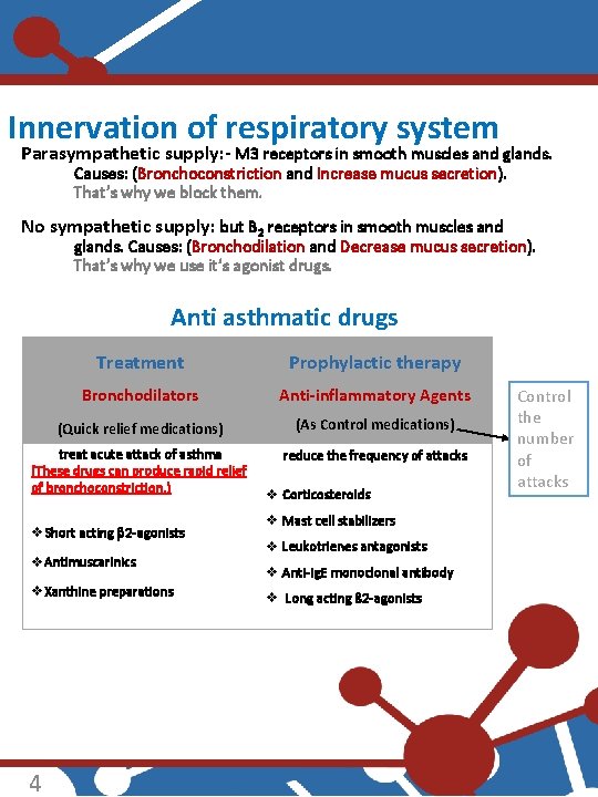 Innervation of respiratory system Parasympathetic supply: - M 3 receptors in smooth muscles and