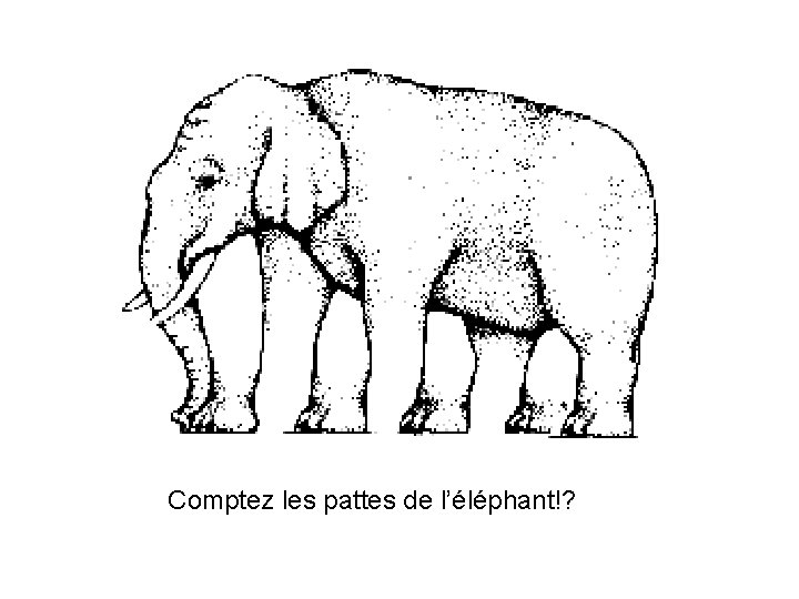 Comptez les pattes de l’éléphant!? 