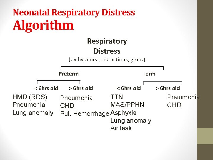 Neonatal Respiratory Distress Algorithm Respiratory Distress (tachypnoea, retractions, grunt) Preterm < 6 hrs old