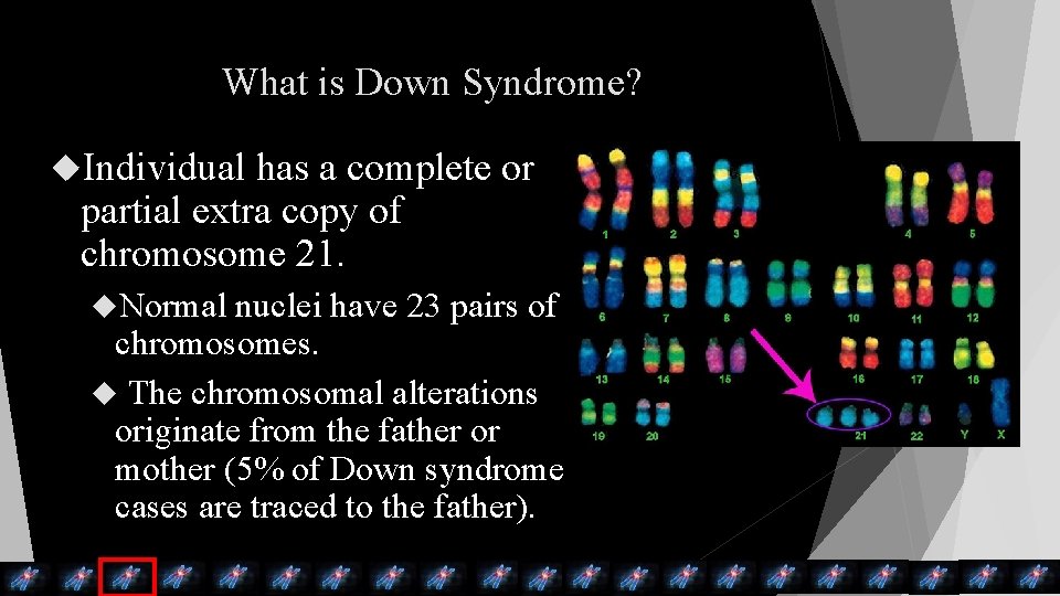 What is Down Syndrome? Individual has a complete or partial extra copy of chromosome