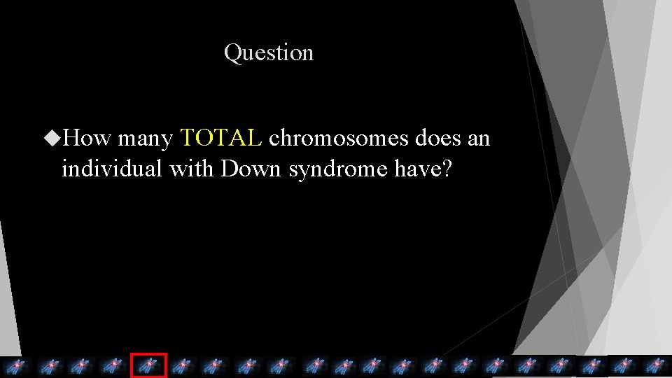 Question How many TOTAL chromosomes does an individual with Down syndrome have? Question How many TOTAL chromosomes does an individual with Down syndrome have?