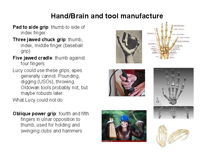 Hand/Brain and tool manufacture Pad to side grip: thumb to side of index finger