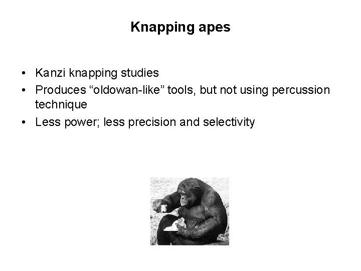 Knapping apes • Kanzi knapping studies • Produces “oldowan-like” tools, but not using percussion