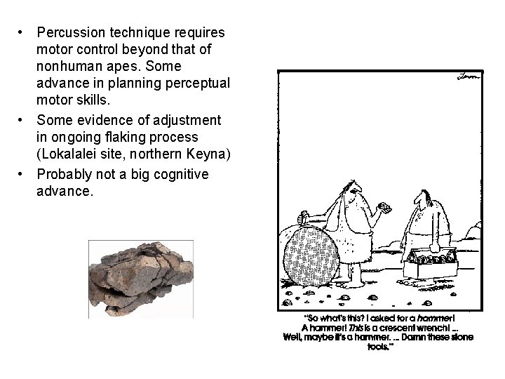  • Percussion technique requires motor control beyond that of nonhuman apes. Some advance