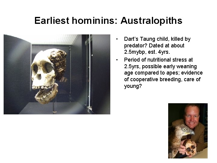 Earliest hominins: Australopiths • • Dart’s Taung child, killed by predator? Dated at about