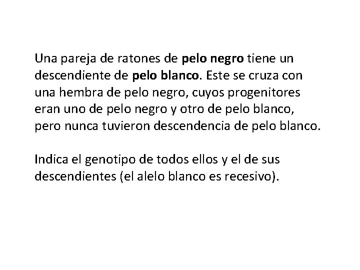 Una pareja de ratones de pelo negro tiene un descendiente de pelo blanco. Este