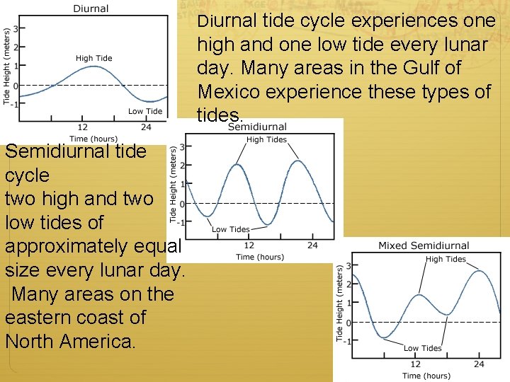 Diurnal tide cycle experiences one high and one low tide every lunar day. Many