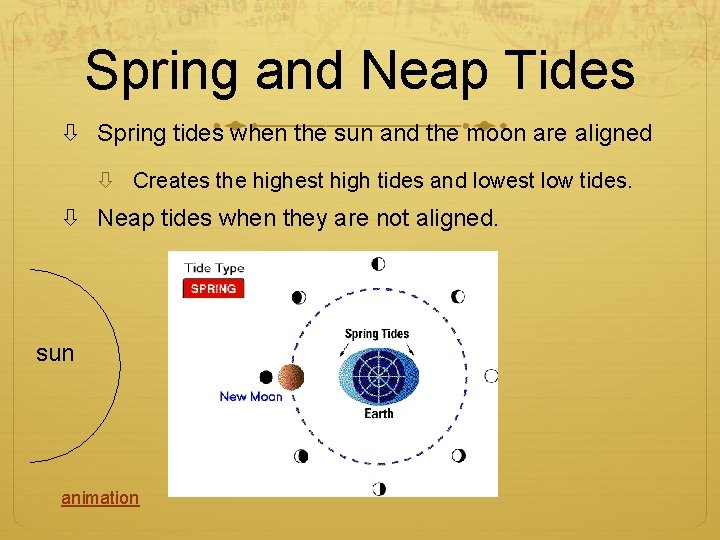 Spring and Neap Tides Spring tides when the sun and the moon are aligned
