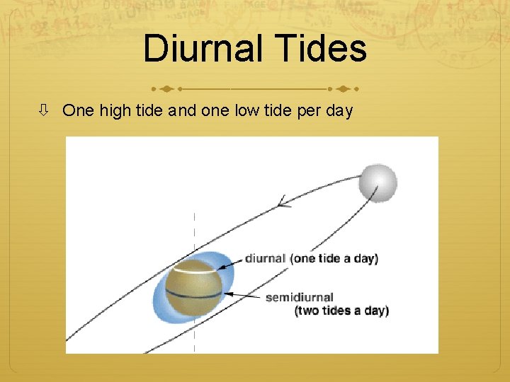Diurnal Tides One high tide and one low tide per day 