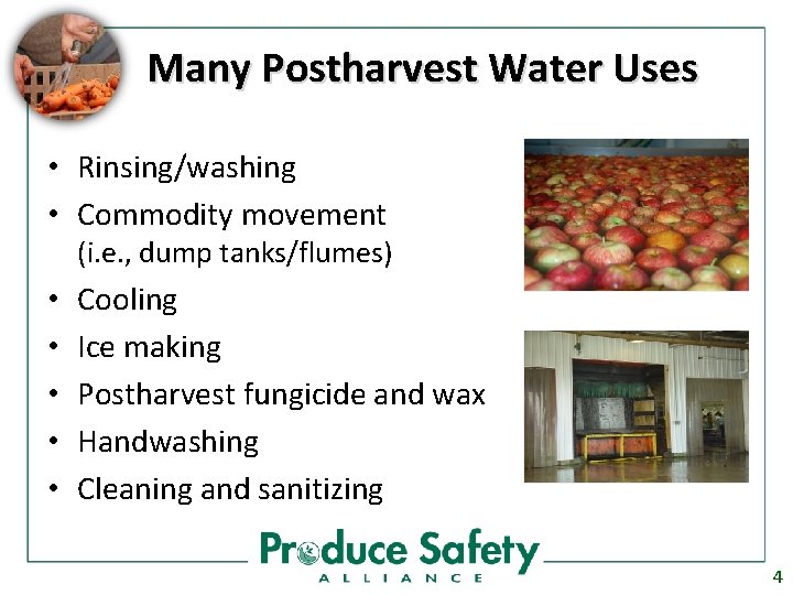 Many Postharvest Water Uses • Rinsing/washing • Commodity movement (i. e. , dump tanks/flumes)