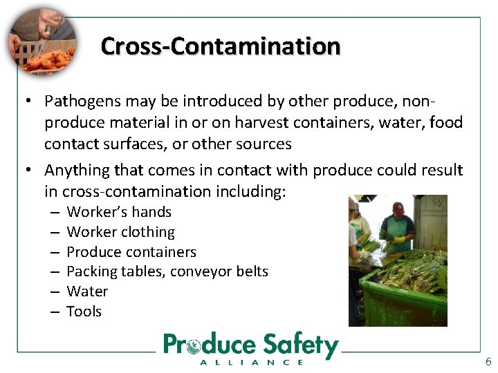 Cross-Contamination • Pathogens may be introduced by other produce, nonproduce material in or on