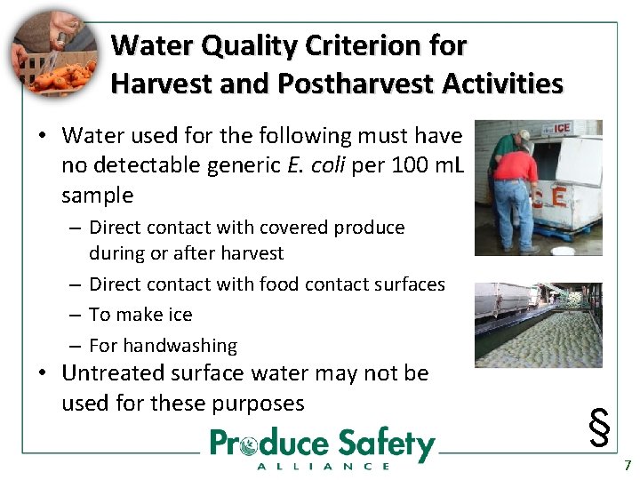 Water Quality Criterion for Harvest and Postharvest Activities • Water used for the following