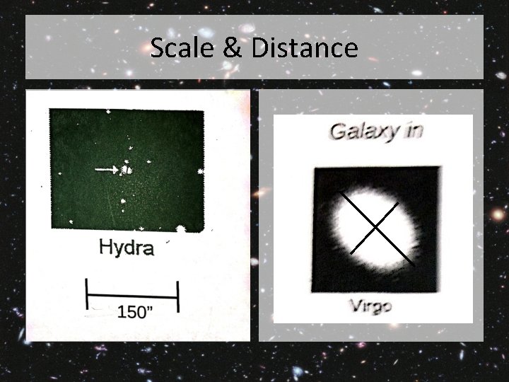 Scale & Distance 