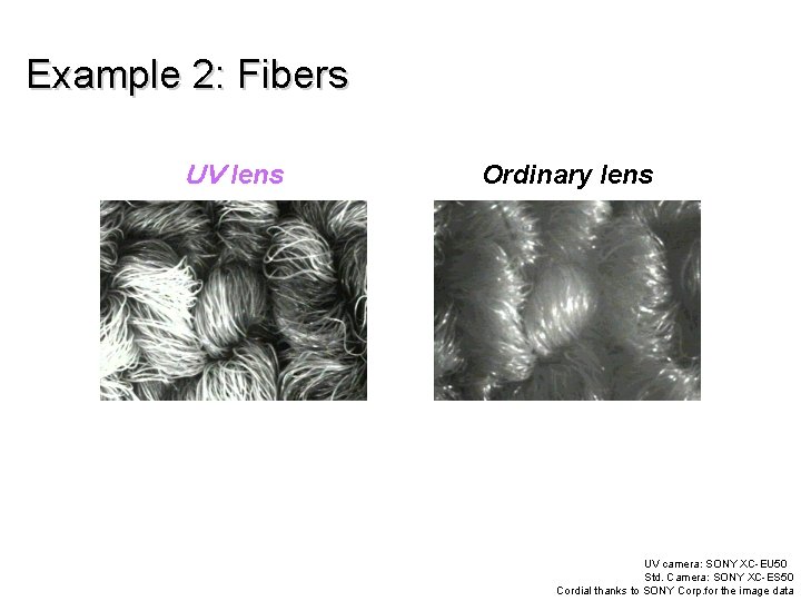 Example 2: Fibers ＵＶ lens Ordinary lens UV camera: SONY XC-EU 50 Std. Camera: