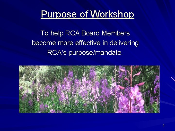 Purpose of Workshop To help RCA Board Members become more effective in delivering RCA’s