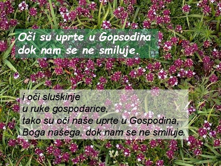 Oči su uprte u Gopsodina dok nam se ne smiluje. i oči sluškinje u
