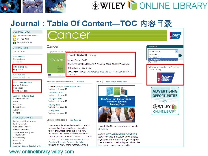 Journal : Table Of Content—TOC 内容目录 www. onlinelibrary. wiley. com 