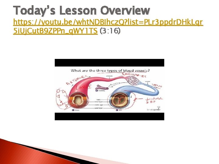 Today’s Lesson Overview https: //youtu. be/wht. NDBIhcz. Q? list=PLr 3 ppdr. DHk. Lqr 5