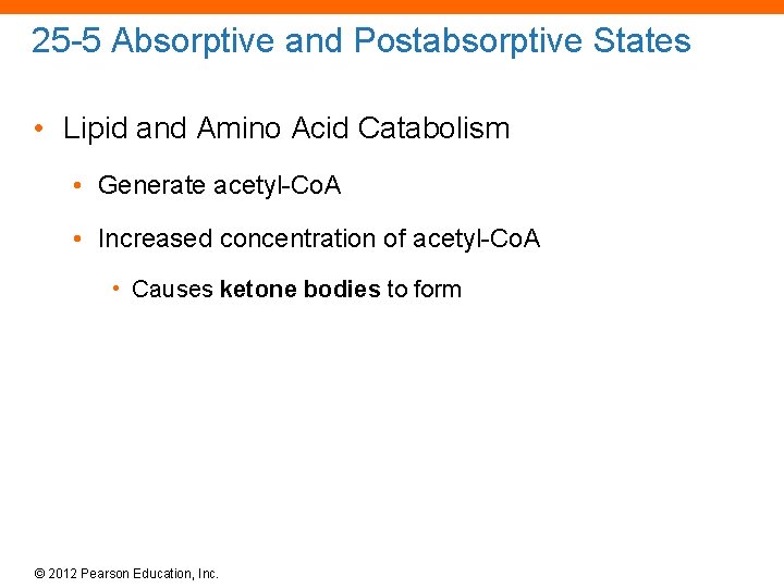 25 -5 Absorptive and Postabsorptive States • Lipid and Amino Acid Catabolism • Generate