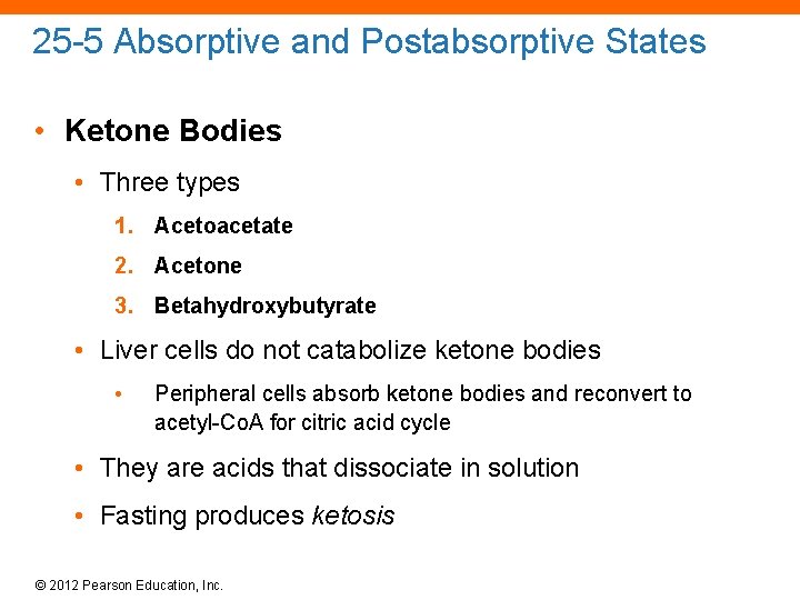 25 -5 Absorptive and Postabsorptive States • Ketone Bodies • Three types 1. Acetoacetate