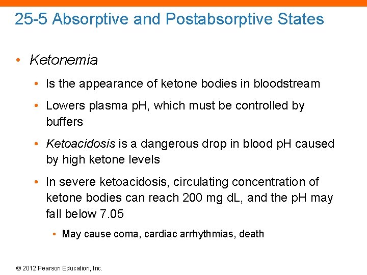 25 -5 Absorptive and Postabsorptive States • Ketonemia • Is the appearance of ketone