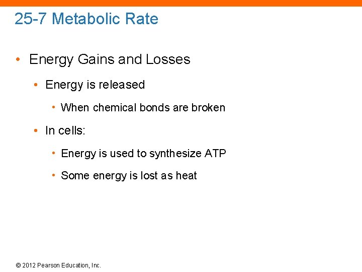 25 -7 Metabolic Rate • Energy Gains and Losses • Energy is released •