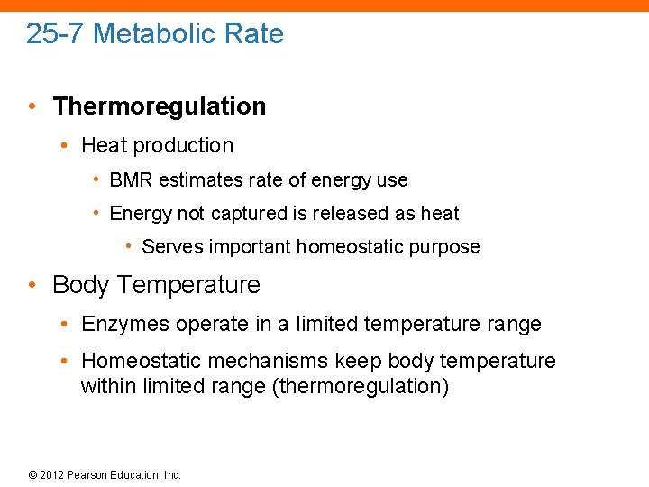 25 -7 Metabolic Rate • Thermoregulation • Heat production • BMR estimates rate of