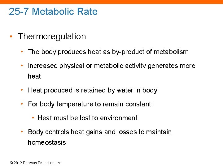 25 -7 Metabolic Rate • Thermoregulation • The body produces heat as by-product of