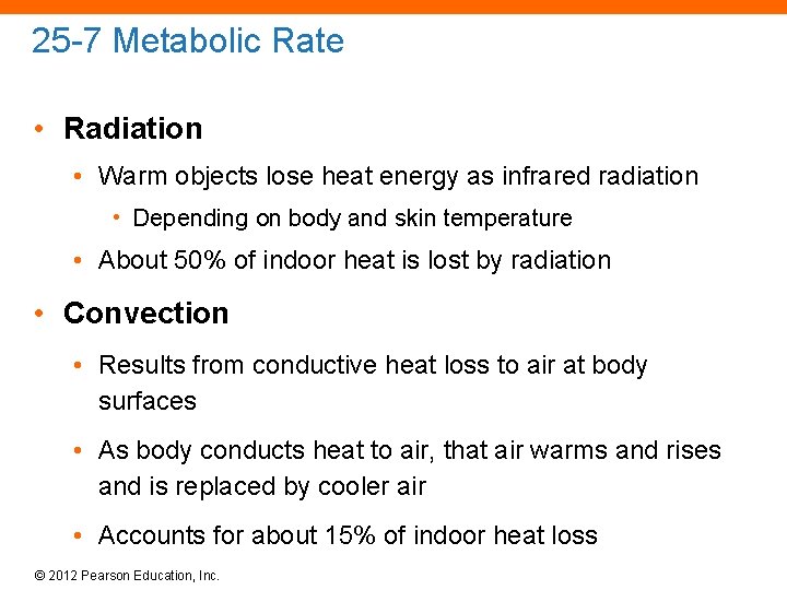 25 -7 Metabolic Rate • Radiation • Warm objects lose heat energy as infrared