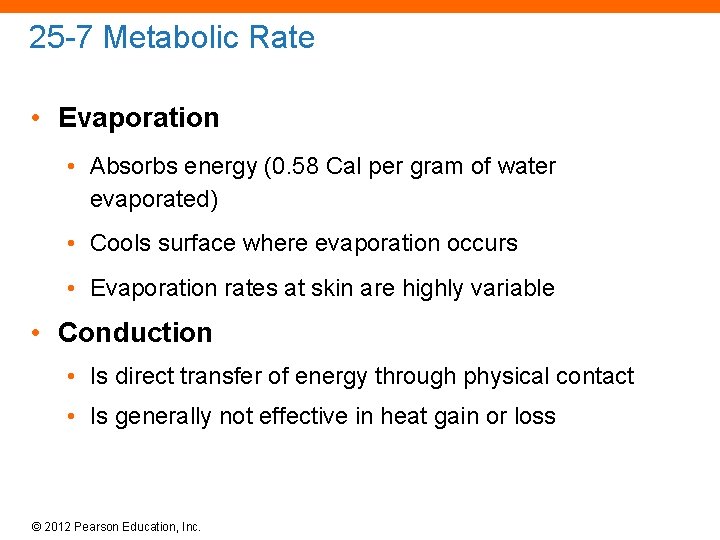 25 -7 Metabolic Rate • Evaporation • Absorbs energy (0. 58 Cal per gram