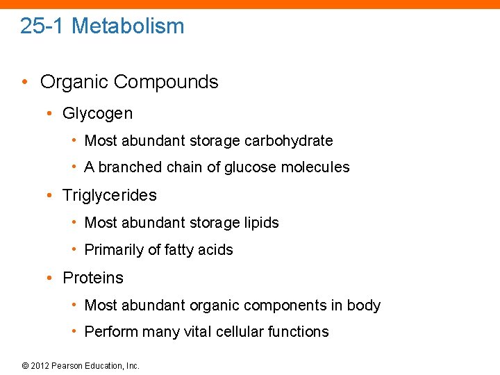 25 -1 Metabolism • Organic Compounds • Glycogen • Most abundant storage carbohydrate •