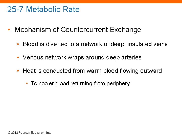 25 -7 Metabolic Rate • Mechanism of Countercurrent Exchange • Blood is diverted to