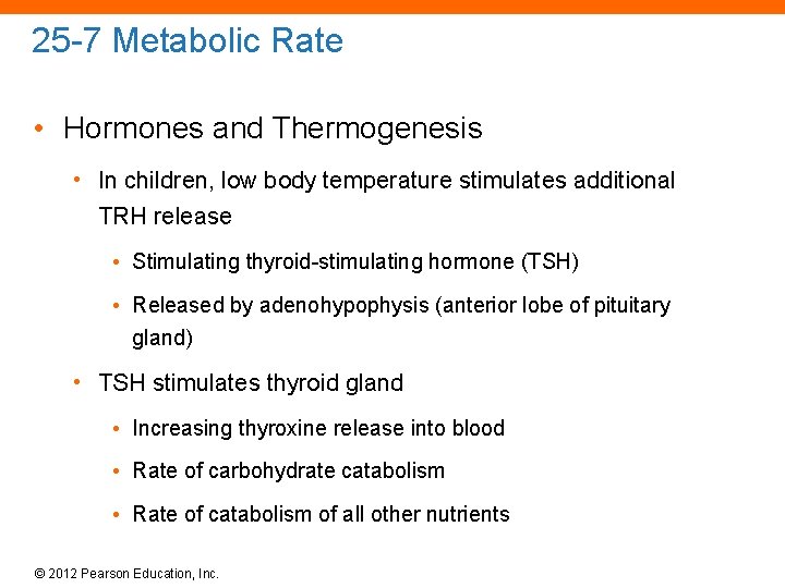 25 -7 Metabolic Rate • Hormones and Thermogenesis • In children, low body temperature