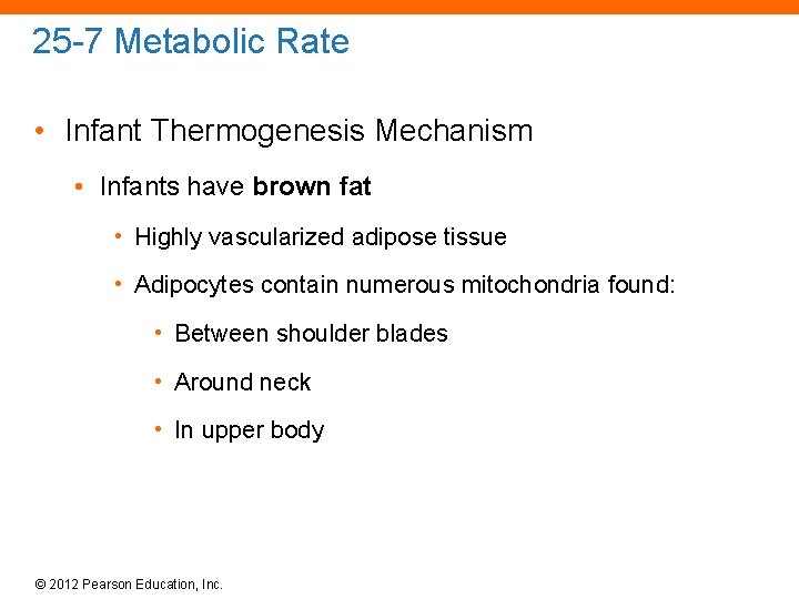 25 -7 Metabolic Rate • Infant Thermogenesis Mechanism • Infants have brown fat •