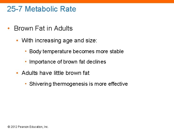 25 -7 Metabolic Rate • Brown Fat in Adults • With increasing age and