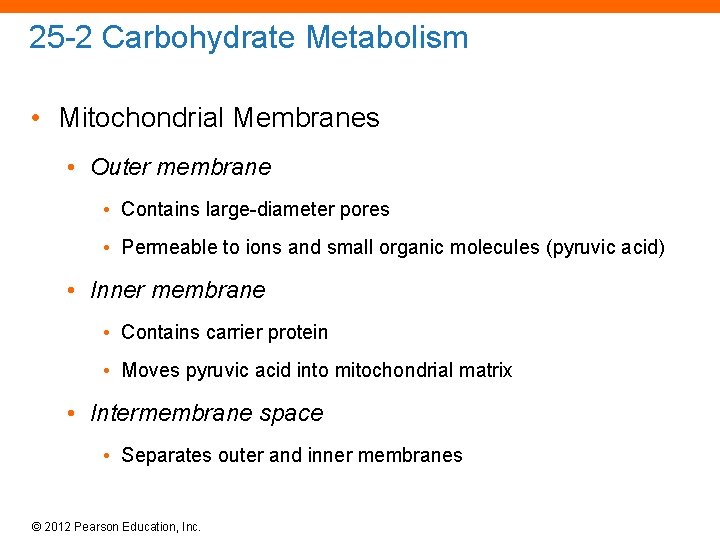 25 -2 Carbohydrate Metabolism • Mitochondrial Membranes • Outer membrane • Contains large-diameter pores