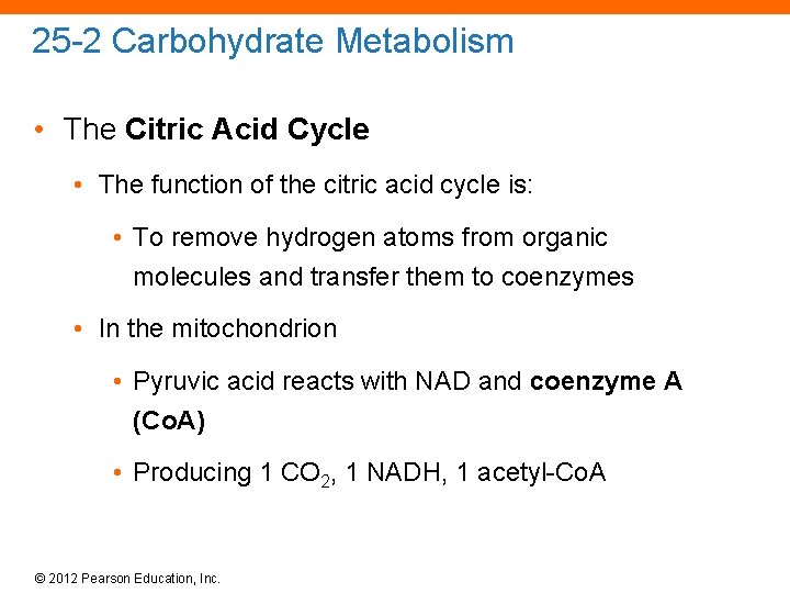 25 -2 Carbohydrate Metabolism • The Citric Acid Cycle • The function of the