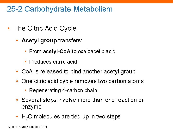 25 -2 Carbohydrate Metabolism • The Citric Acid Cycle • Acetyl group transfers: •