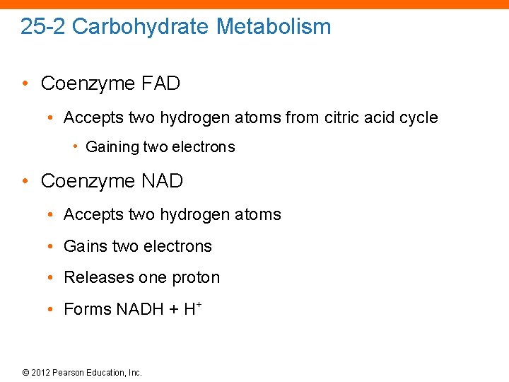 25 -2 Carbohydrate Metabolism • Coenzyme FAD • Accepts two hydrogen atoms from citric