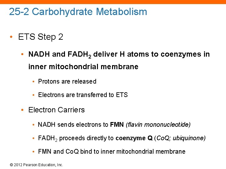 25 -2 Carbohydrate Metabolism • ETS Step 2 • NADH and FADH 2 deliver