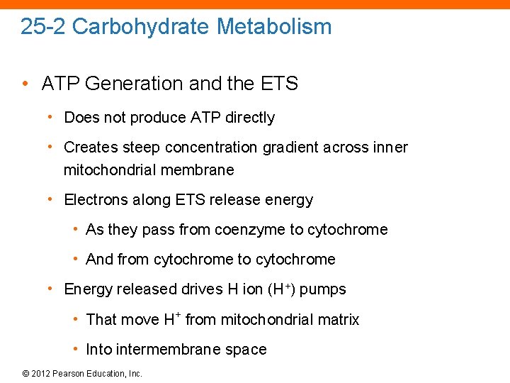 25 -2 Carbohydrate Metabolism • ATP Generation and the ETS • Does not produce