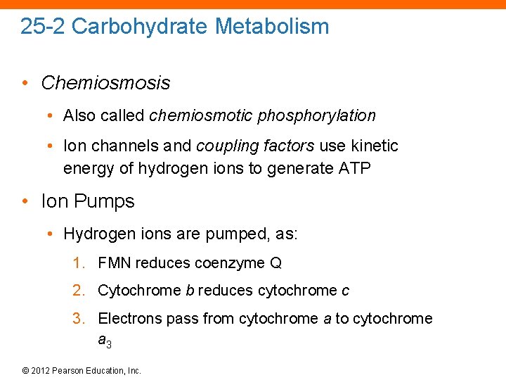 25 -2 Carbohydrate Metabolism • Chemiosmosis • Also called chemiosmotic phosphorylation • Ion channels