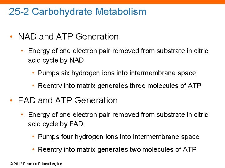 25 -2 Carbohydrate Metabolism • NAD and ATP Generation • Energy of one electron