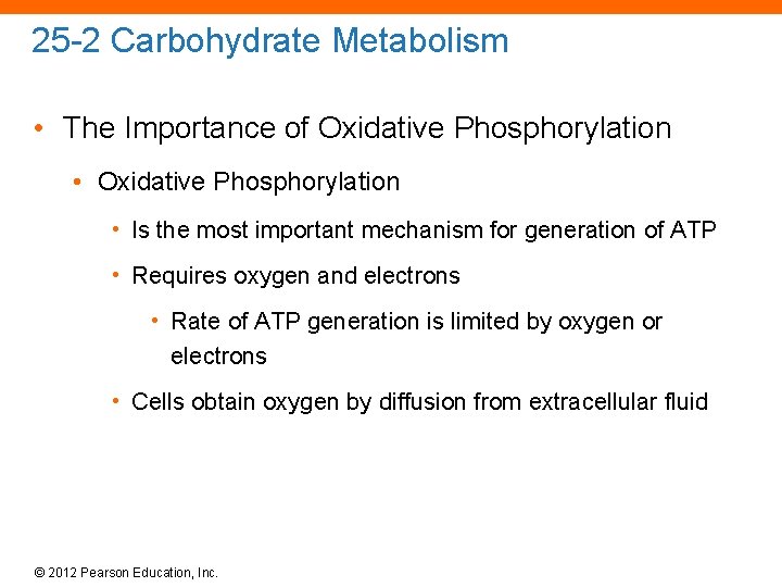 25 -2 Carbohydrate Metabolism • The Importance of Oxidative Phosphorylation • Is the most