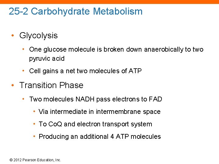 25 -2 Carbohydrate Metabolism • Glycolysis • One glucose molecule is broken down anaerobically