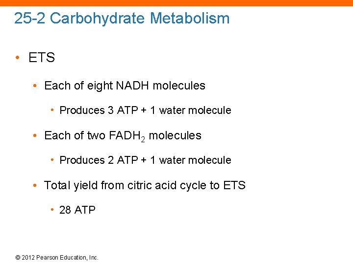 25 -2 Carbohydrate Metabolism • ETS • Each of eight NADH molecules • Produces