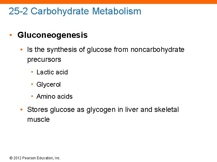 25 -2 Carbohydrate Metabolism • Gluconeogenesis • Is the synthesis of glucose from noncarbohydrate
