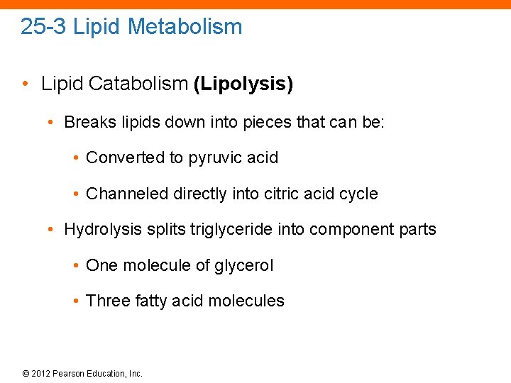 25 -3 Lipid Metabolism • Lipid Catabolism (Lipolysis) • Breaks lipids down into pieces