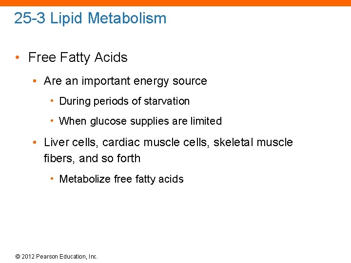 25 -3 Lipid Metabolism • Free Fatty Acids • Are an important energy source