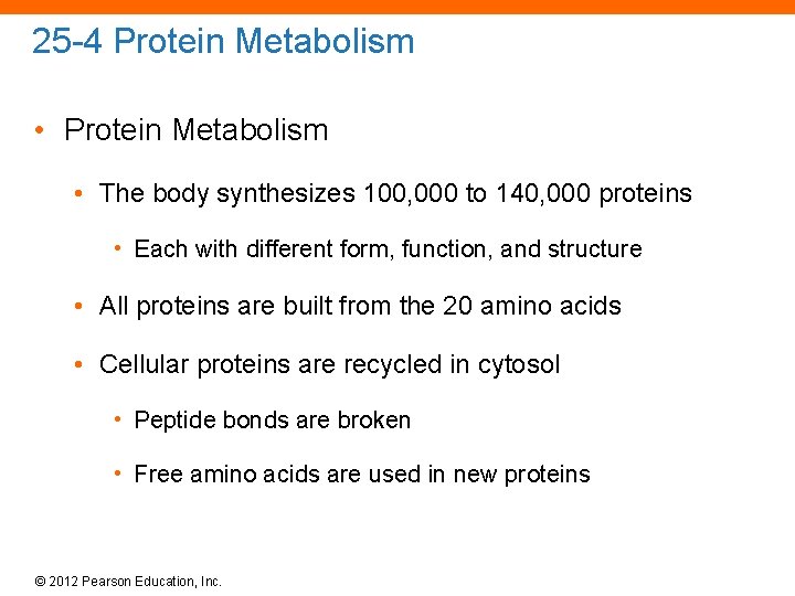 25 -4 Protein Metabolism • The body synthesizes 100, 000 to 140, 000 proteins
